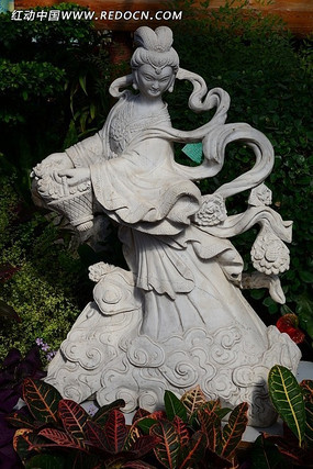 ��Ůɢ������