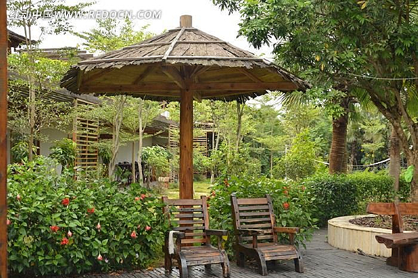 ������԰