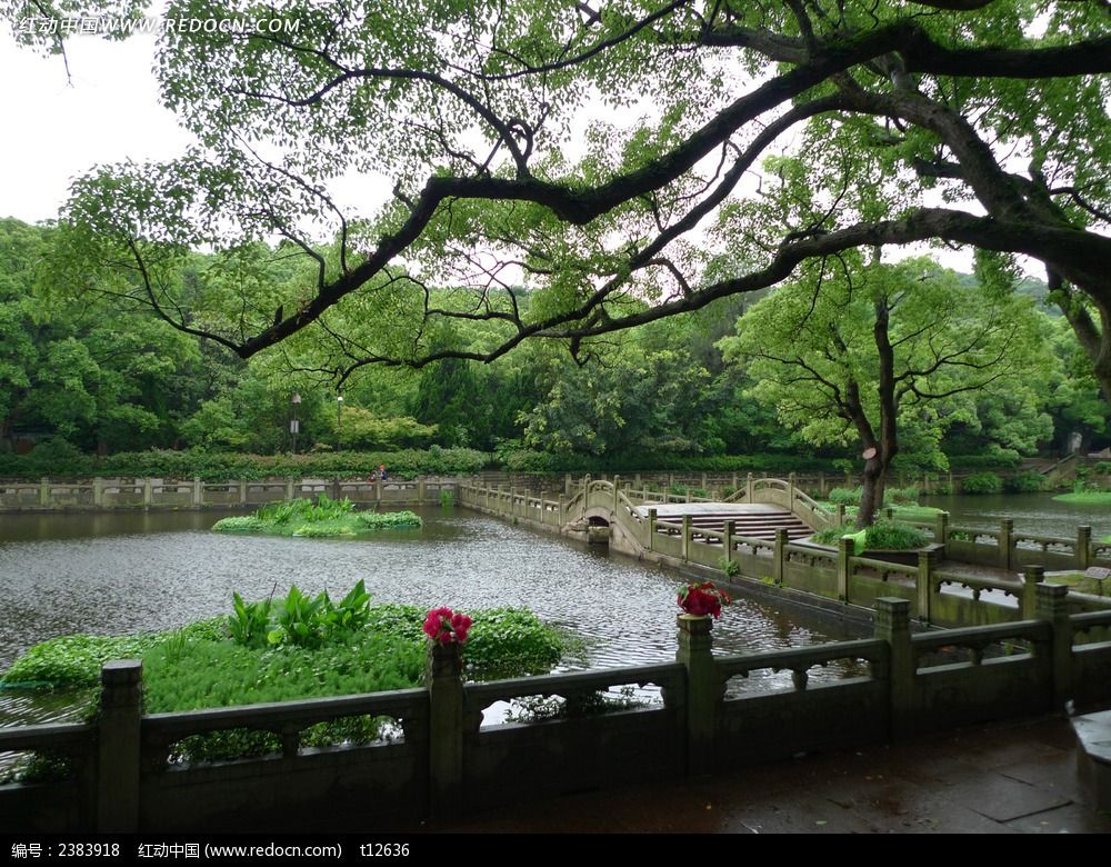 ����ɽ�ռ�����һ�Ǻ��湰��ͼƬ