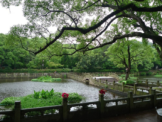 �ռ�����