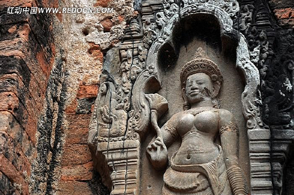 ���ߵĸ���