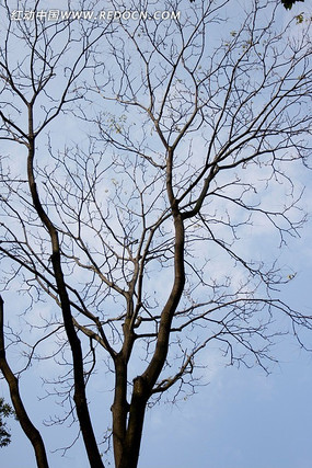 ���������ˬ����