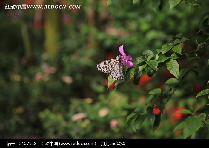 ͣפ��Ϣ�ĺ���ͼƬ