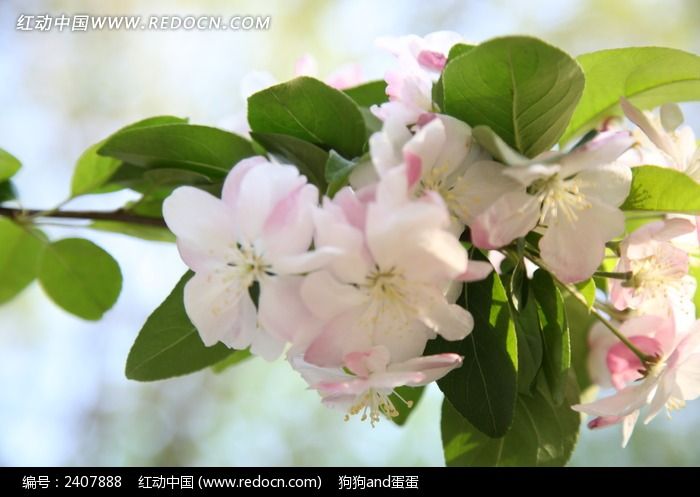 ��ӵ�ĺ��Ļ�ͼƬ