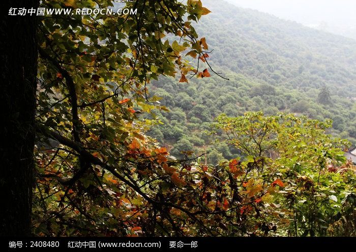 ����ɽ�ŵ����ͼƬ