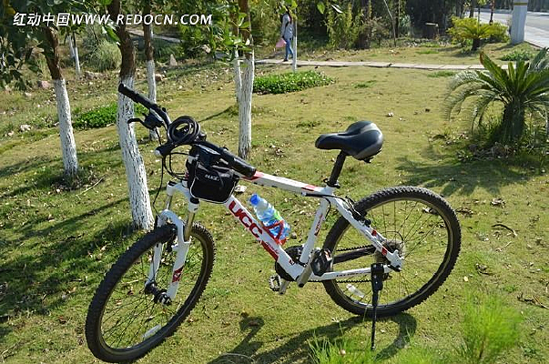 �ݵ����г�����