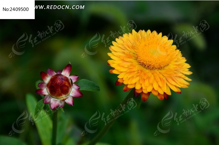 �����Ļ�ɫ��˾�ͼƬ