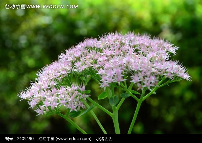 ���޵����߾�ͼƬ