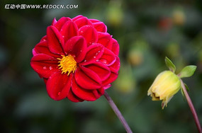 ���ۻ���