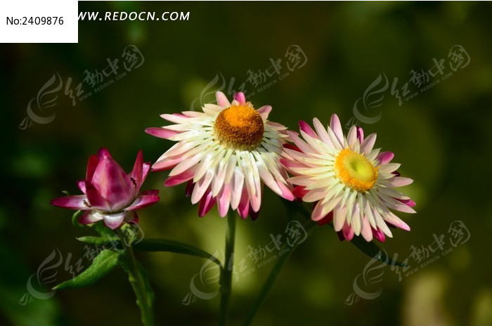 ���涷�޵���˾�ͼƬ