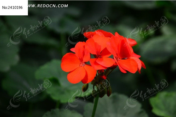 ���޵ĳ�����ͼƬ