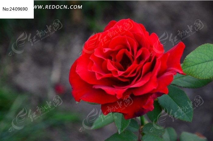 ���޶��˵��¼���ͼƬ