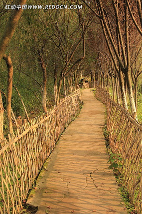 ���ּ�С��