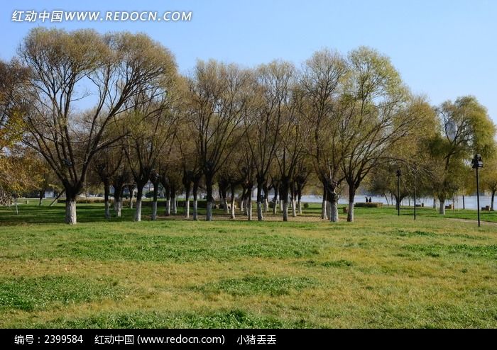 �ݵ�����ͼƬ