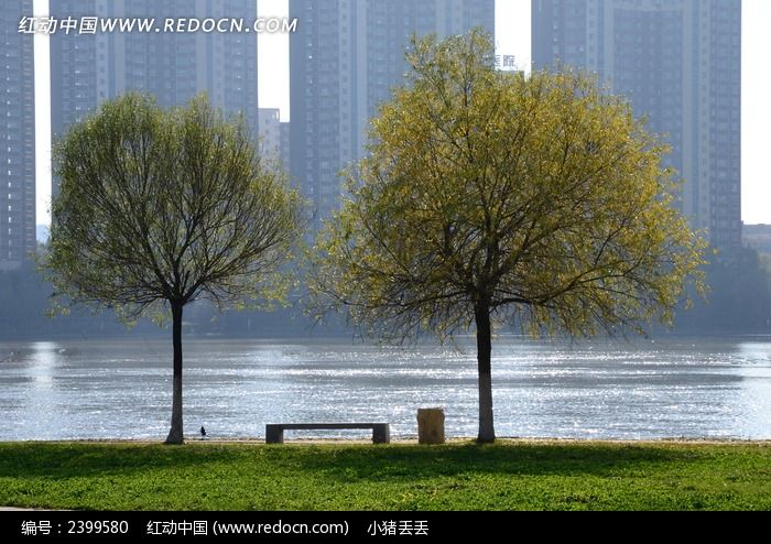 �����ϵ�С���ͳ���ͼƬ