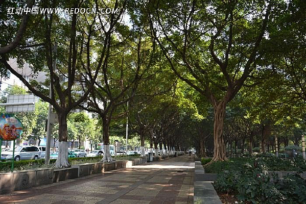 ��С�����й�԰