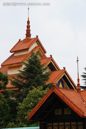 �߲����Ͻ���