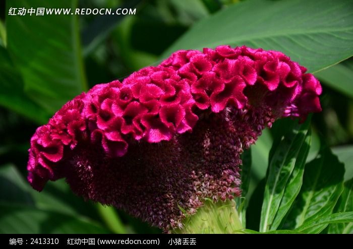 �ʺ�ļ��ڻ�ͼƬ