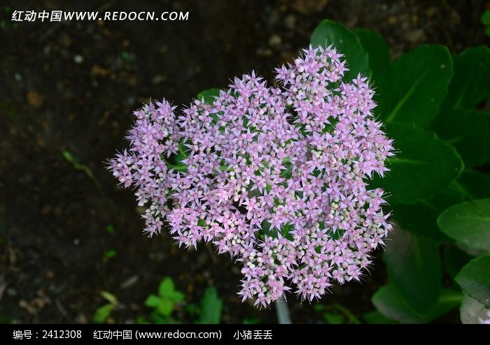 ���޵����߾�ͼƬ