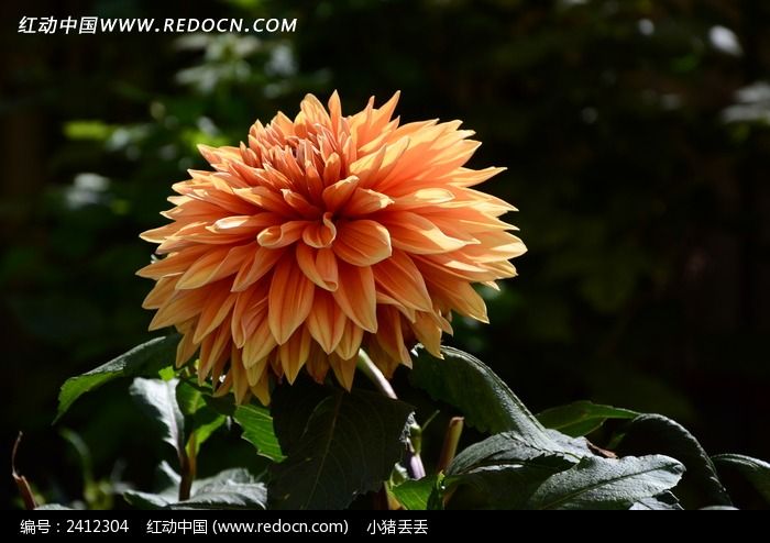 �������˵Ĵ�����ͼƬ