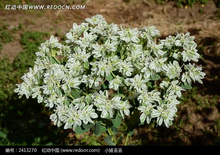 һ�����޵����ߴ�ͼƬ