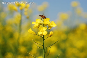 �˻��ϵ��۷�