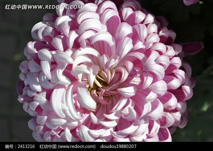 չ¶���յľջ�ͼƬ