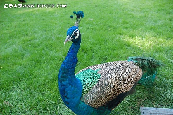 �����Ŀ�ȸ