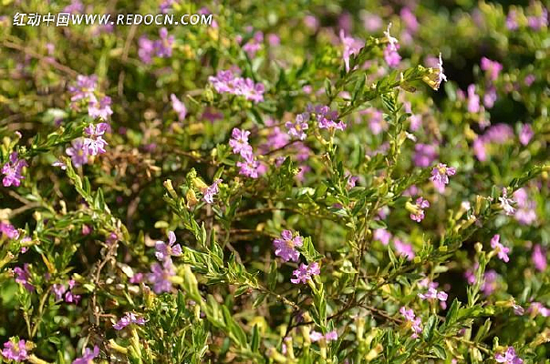 ���յ�����