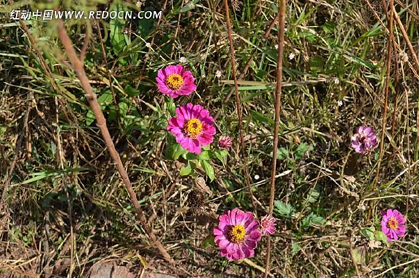 �����µ�����