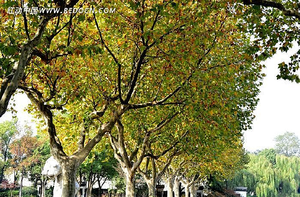 �����ķ���