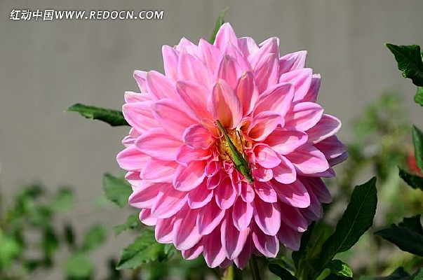 �ջ�����