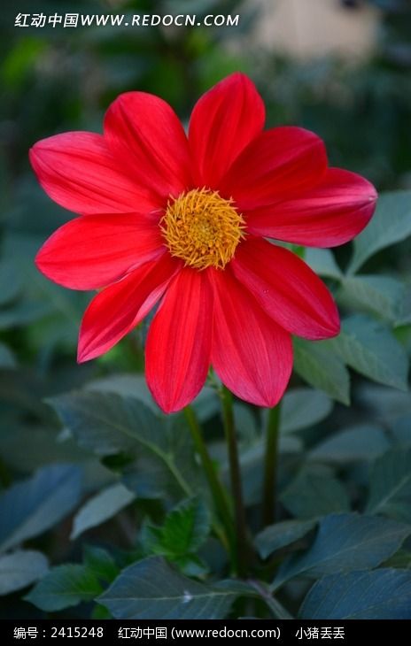 �ʺ�Ĵ�����ͼƬ