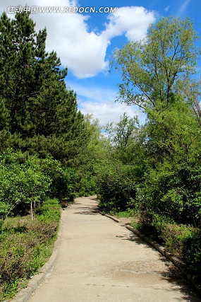 �ľ�����С·