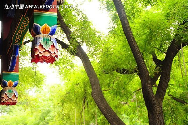 ��ɫľ����