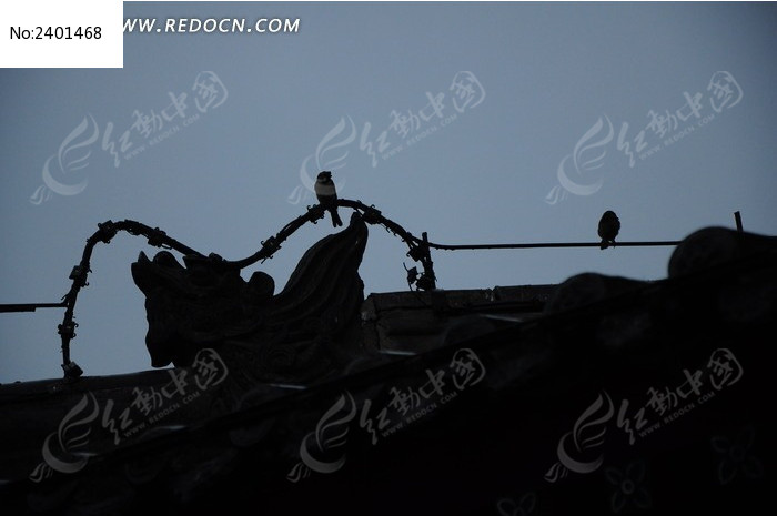 �ų������ϵ���ֻС��ͼƬ