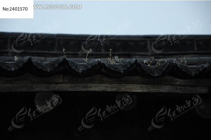 ��������ͼƬ