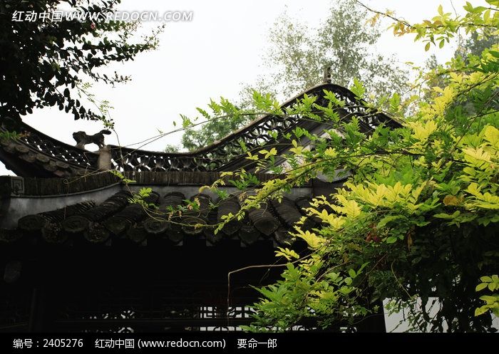 ����������԰�־���ͼƬ