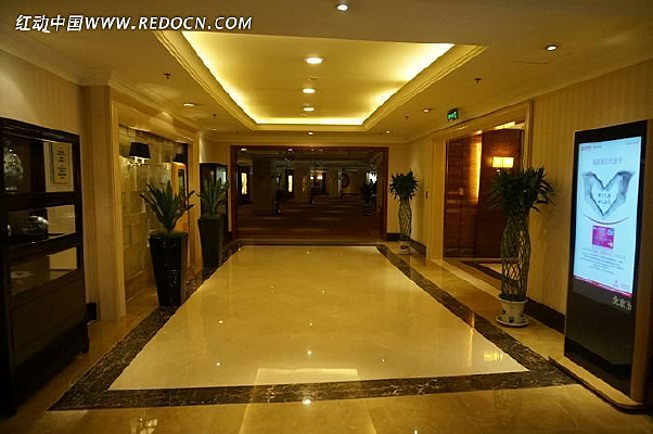 �����Ƶ���