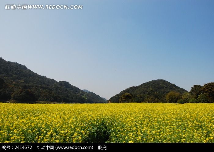 һƬ�Ͳ˻���Զ����ɽ��ͼƬ