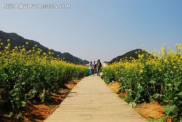 ·�뻨����