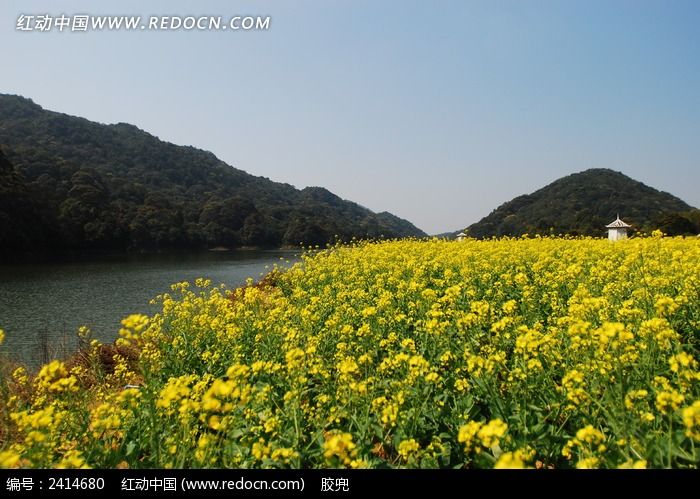 �Ͳ˻����Աߵĺ�����ɽ��ͼƬ