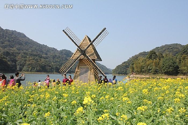 �ۿ�����Ⱥ