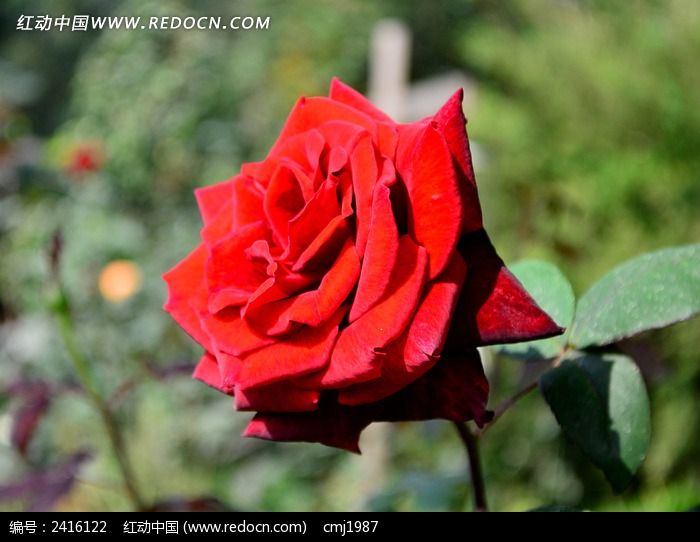 �ʺ���¼���ͼƬ