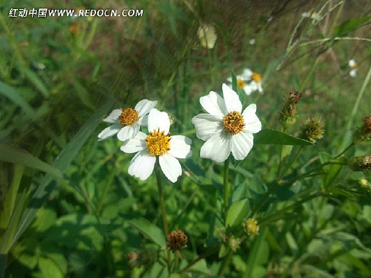 ��ԡ����