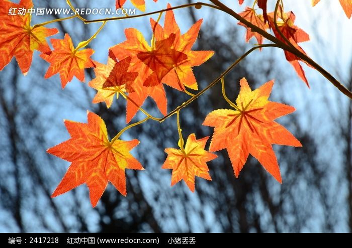 ���췢�Ʒ����Ҷ��ͼƬ