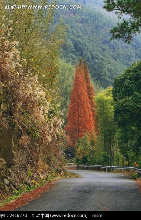 ��·�ߵ�ˮɼͼƬ