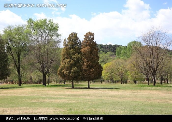 �����µ�������ͼƬ