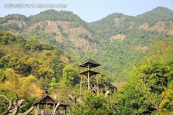 ɽ���е�����