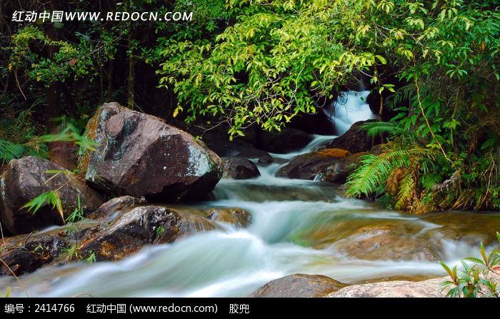 �������ĵĺ���ͼƬ